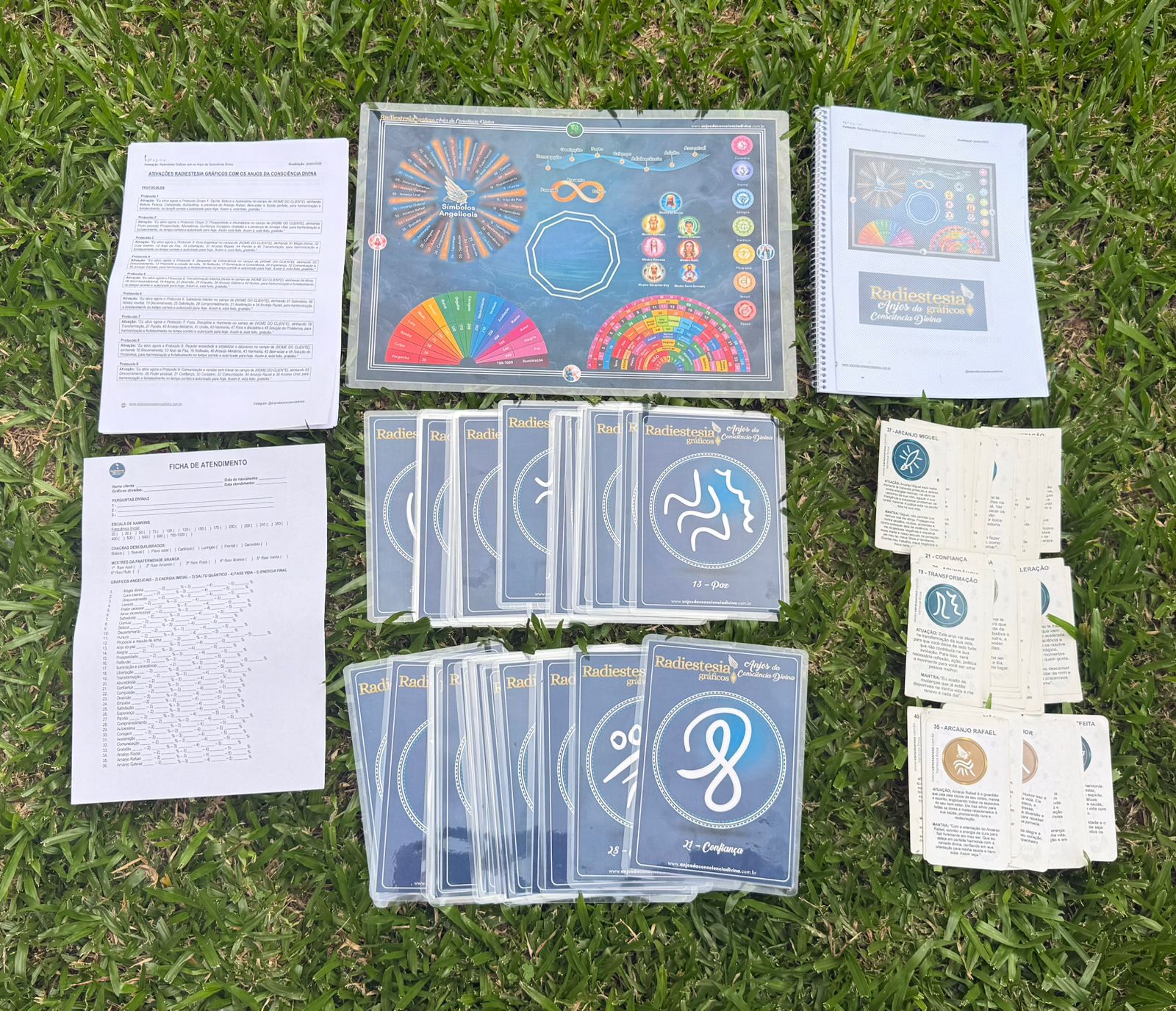 WhatsApp Image 2026-03-05 at 17.42.30-3